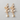 Oceanic Star Shell Earrings