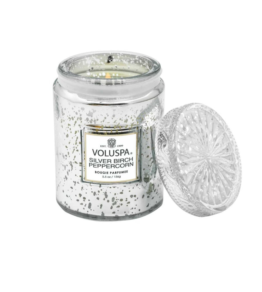 Silver Birch Peppercorn Small Jar Candle - Layer Boutique
