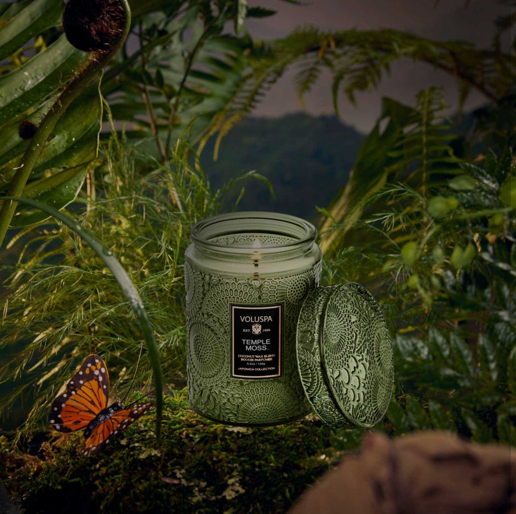 Temple Moss Small Jar Candle - Layer Boutique